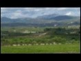 Enoturismo rural